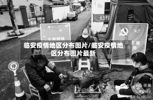 临安疫情地区分布图片/临安疫情地区分布图片最新-第1张图片