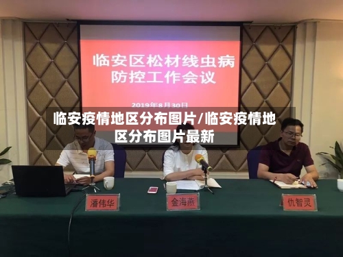 临安疫情地区分布图片/临安疫情地区分布图片最新-第3张图片