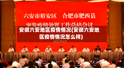 安徽六安地区疫情情况(安徽六安地区疫情情况怎么样)-第2张图片