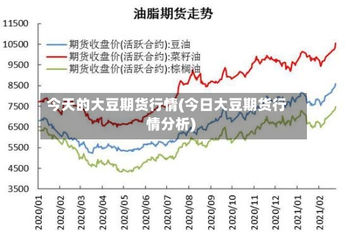 今天的大豆期货行情(今日大豆期货行情分析)-第1张图片