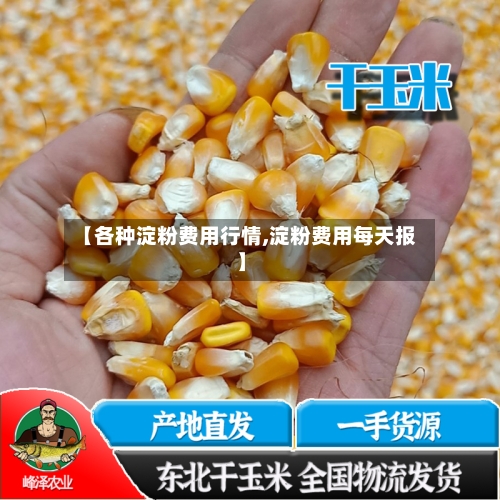 【各种淀粉费用行情,淀粉费用每天报】-第3张图片