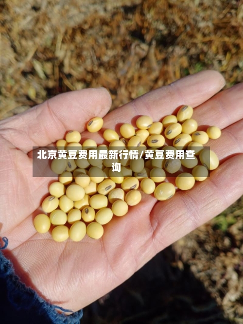 北京黄豆费用最新行情/黄豆费用查询-第1张图片