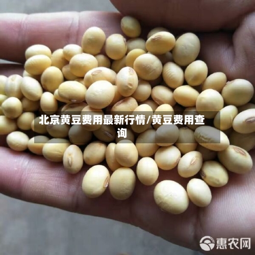 北京黄豆费用最新行情/黄豆费用查询-第2张图片