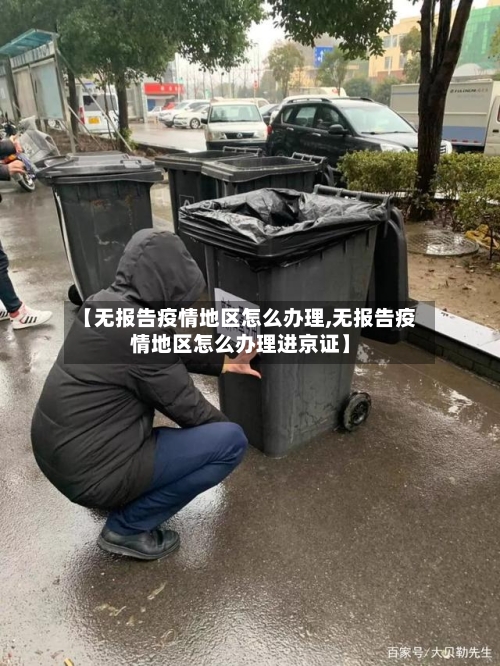 【无报告疫情地区怎么办理,无报告疫情地区怎么办理进京证】-第1张图片
