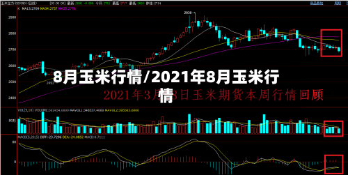 8月玉米行情/2021年8月玉米行情-第1张图片