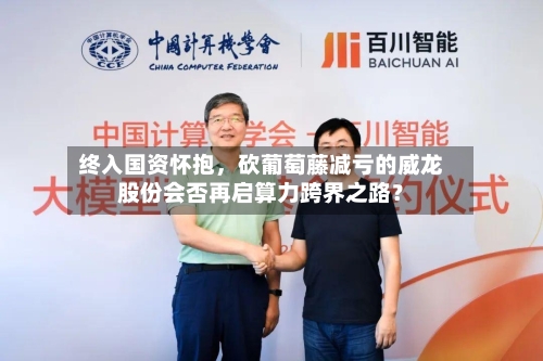 终入国资怀抱	，砍葡萄藤减亏的威龙股份会否再启算力跨界之路？-第1张图片