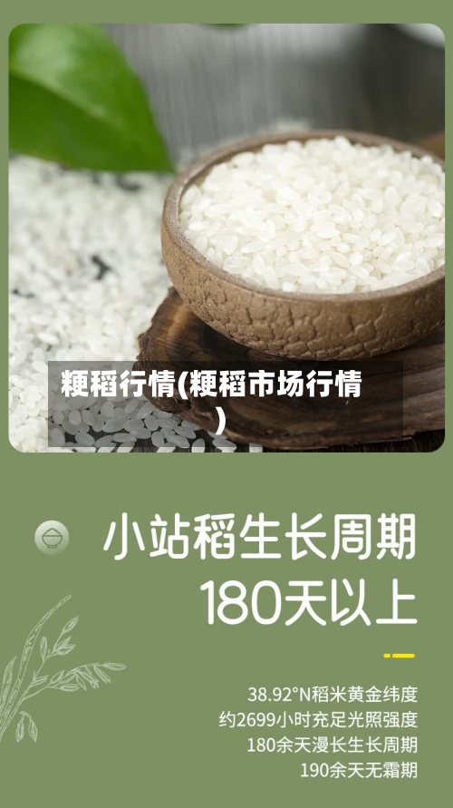 粳稻行情(粳稻市场行情)-第1张图片