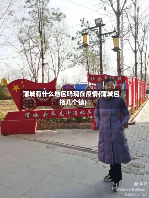 蒲城有什么地区吗现在疫情(蒲城包括几个镇)-第3张图片