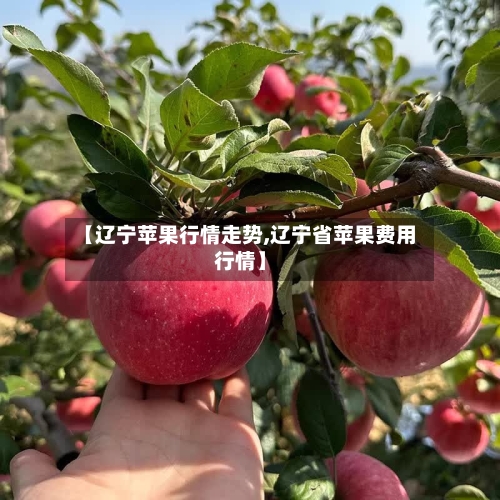 【辽宁苹果行情走势,辽宁省苹果费用行情】-第2张图片