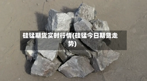 硅锰期货实时行情(硅锰今日期货走势)-第2张图片