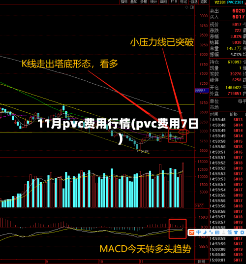 11月pvc费用行情(pvc费用7日)-第1张图片