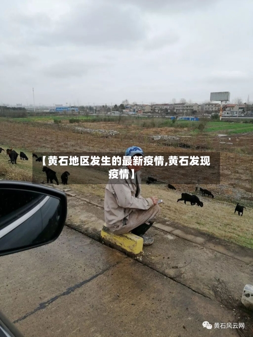 【黄石地区发生的最新疫情,黄石发现疫情】-第1张图片