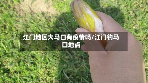 江门地区大马口有疫情吗/江门钓马口地点-第1张图片