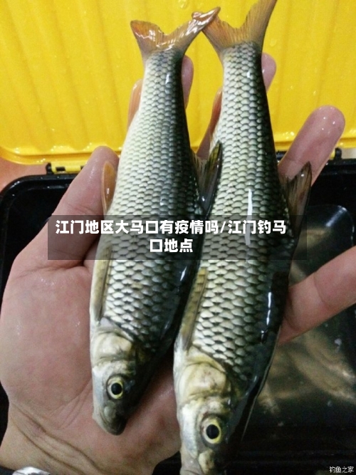 江门地区大马口有疫情吗/江门钓马口地点-第3张图片