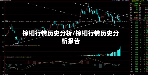 棕榈行情历史分析/棕榈行情历史分析报告-第1张图片