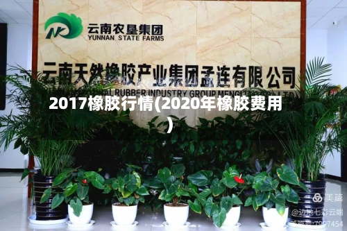 2017橡胶行情(2020年橡胶费用)-第1张图片