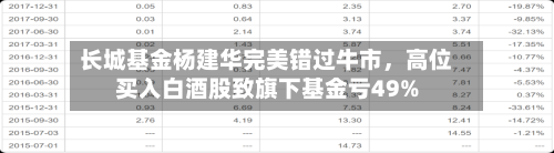 长城基金杨建华完美错过牛市	，高位买入白酒股致旗下基金亏49%-第2张图片