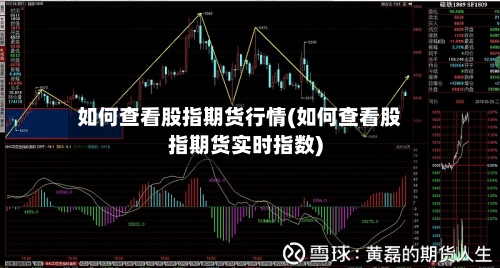 如何查看股指期货行情(如何查看股指期货实时指数)-第2张图片