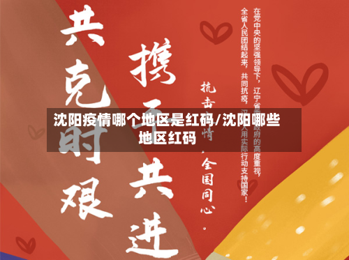 沈阳疫情哪个地区是红码/沈阳哪些地区红码-第2张图片