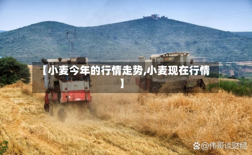 【小麦今年的行情走势,小麦现在行情】-第2张图片