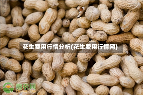 花生费用行情分析(花生费用行情网)-第1张图片