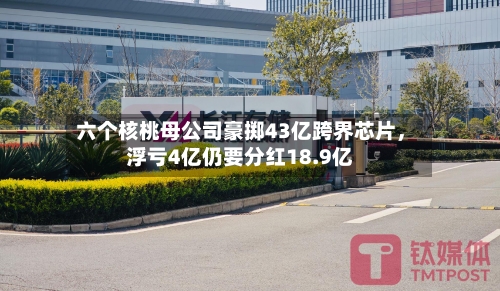 六个核桃母公司豪掷43亿跨界芯片，浮亏4亿仍要分红18.9亿-第2张图片