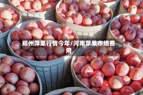 郑州萍果行情今年/河南苹果市场费用-第2张图片