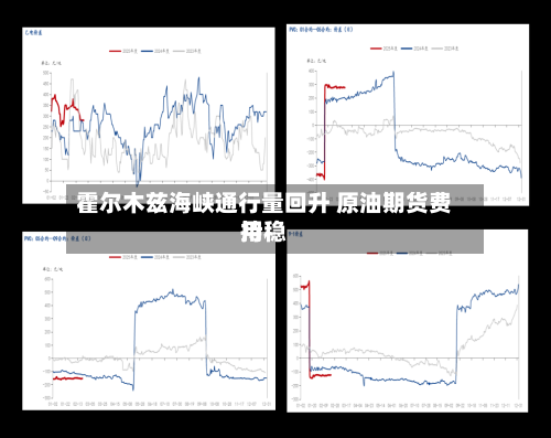 霍尔木兹海峡通行量回升 原油期货费用持稳-第1张图片