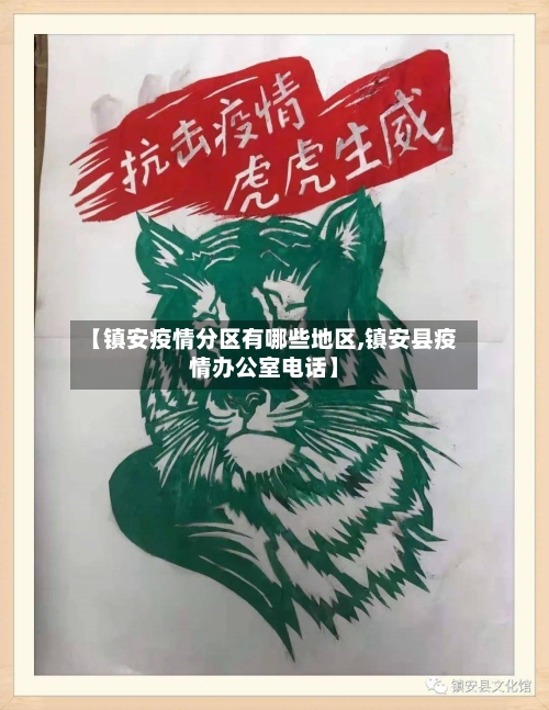 【镇安疫情分区有哪些地区,镇安县疫情办公室电话】-第2张图片