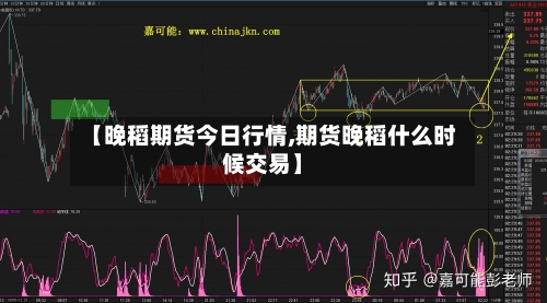 【晚稻期货今日行情,期货晚稻什么时候交易】-第1张图片