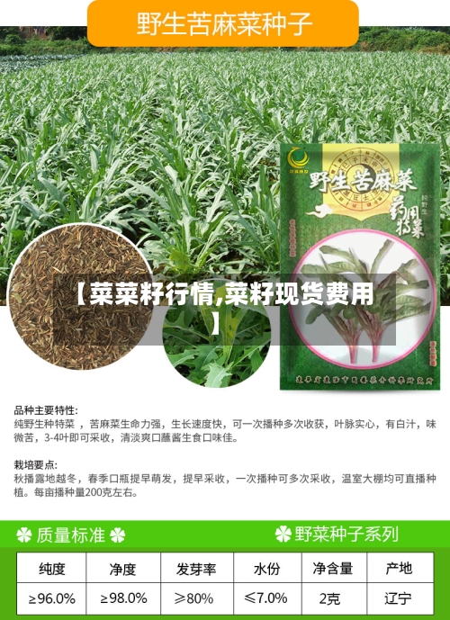 【菜菜籽行情,菜籽现货费用】-第1张图片