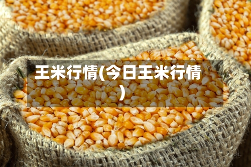 王米行情(今日王米行情)-第1张图片