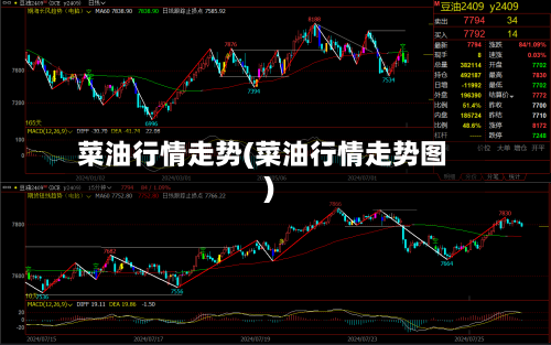菜油行情走势(菜油行情走势图)-第1张图片