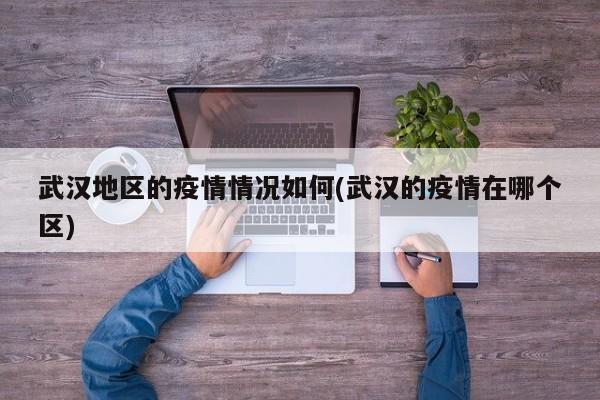 武汉地区的疫情情况如何(武汉的疫情在哪个区)