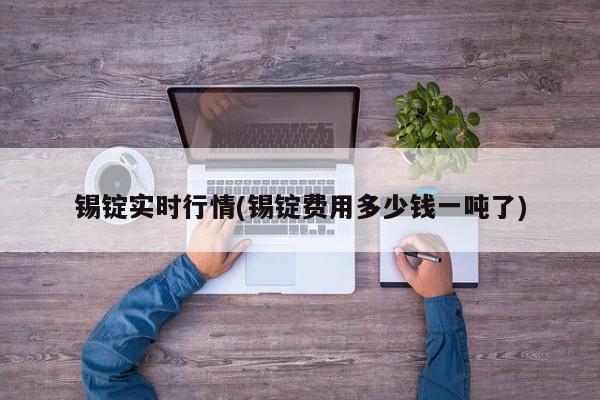 锡锭实时行情(锡锭费用多少钱一吨了)