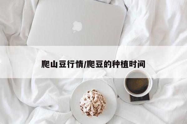 爬山豆行情/爬豆的种植时间