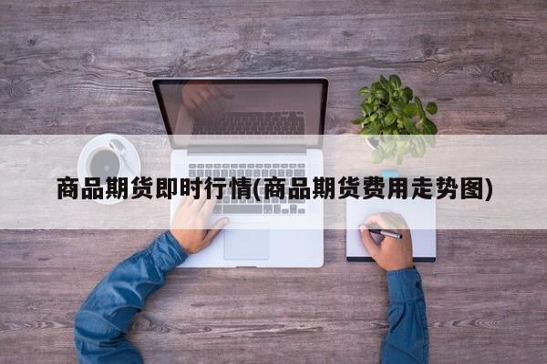商品期货即时行情(商品期货费用走势图)