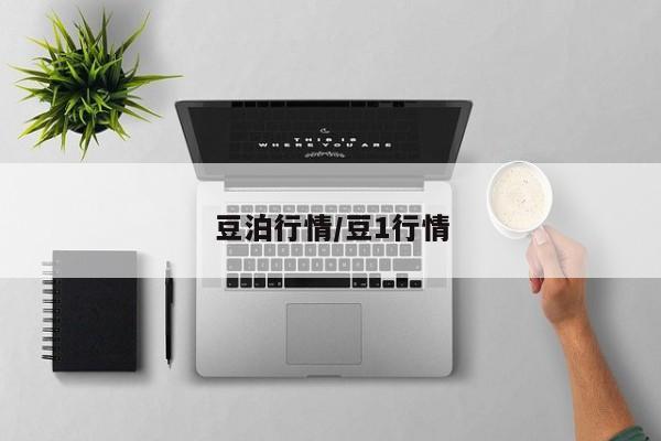 豆泊行情/豆1行情